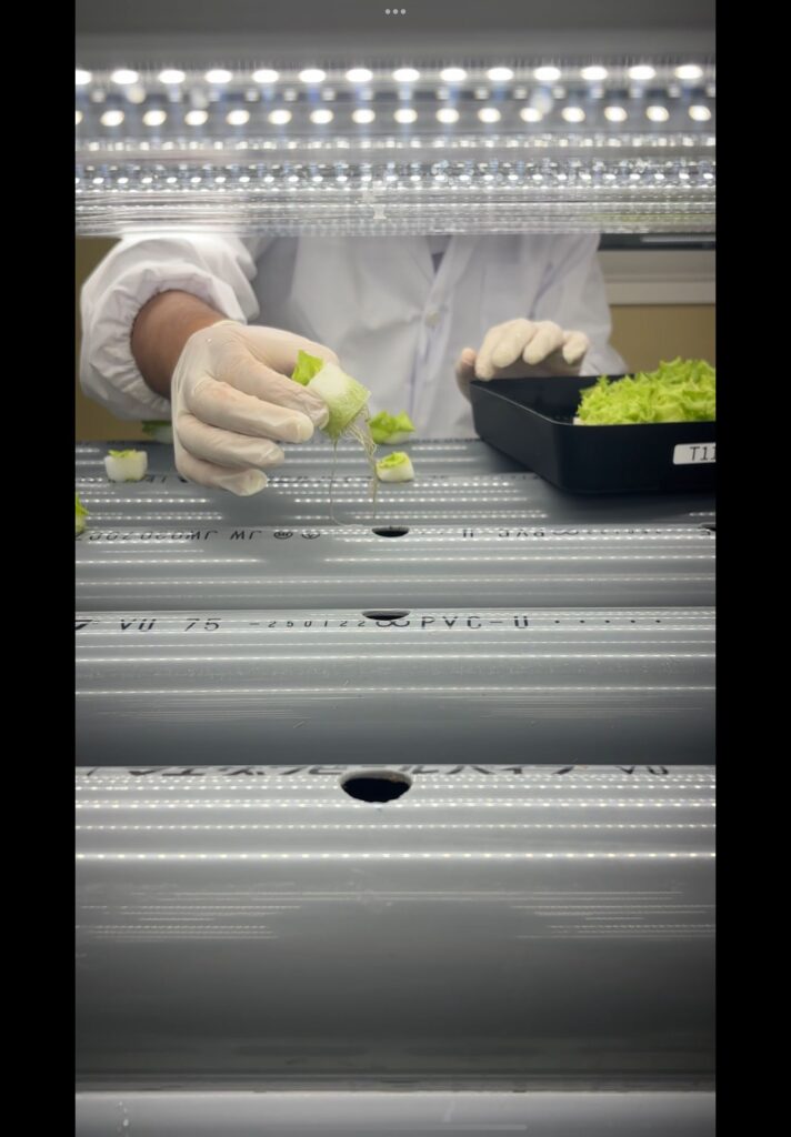 はなさくファーム堺東