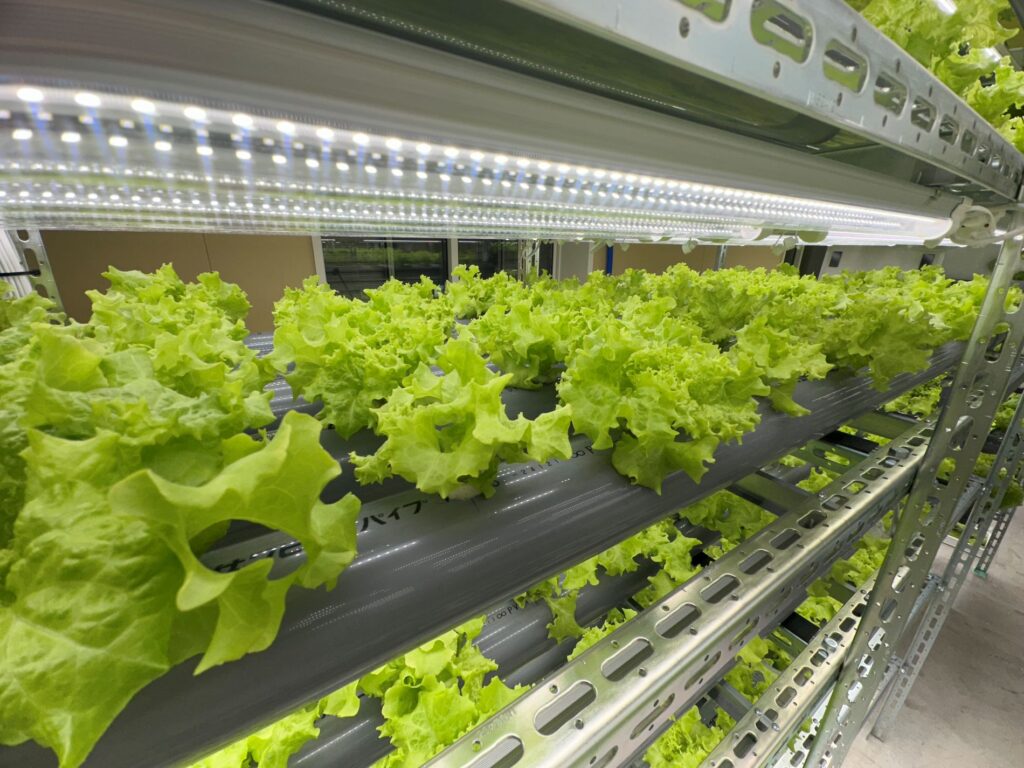 はなさくファーム堺東